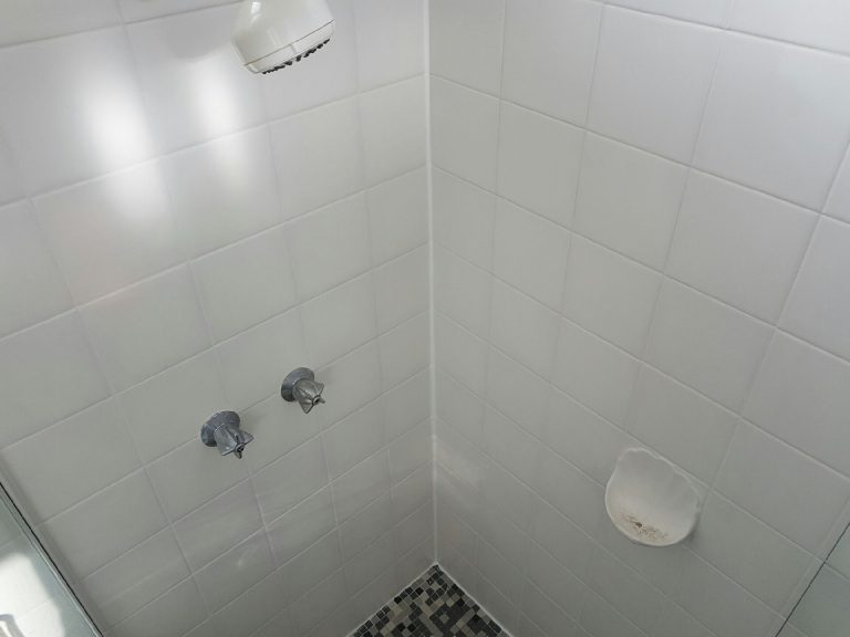 Shower regrout