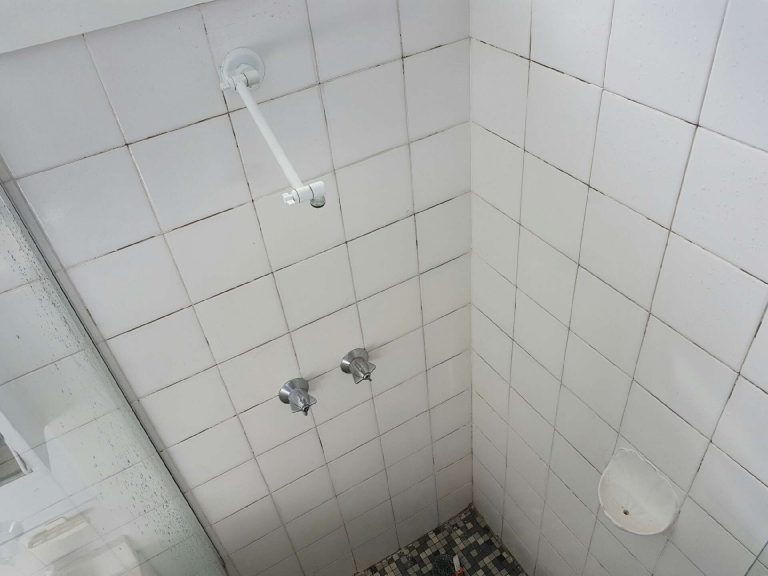 Before Shower Regrout